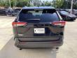 2020 Toyota RAV4 XLE SUV