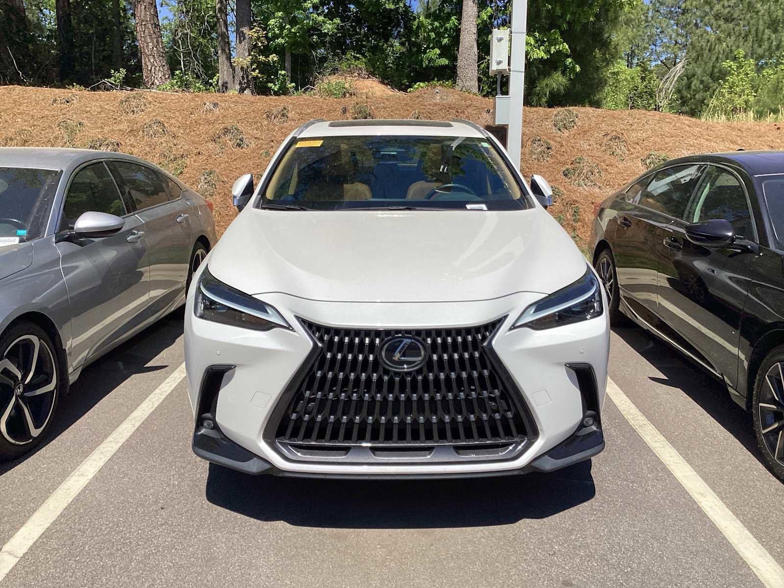 2023 LEXUS NX 350 Premium photo 3