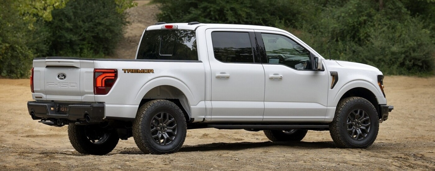 A white 2024 Ford F-150 for sale near Carey is shown off-road.