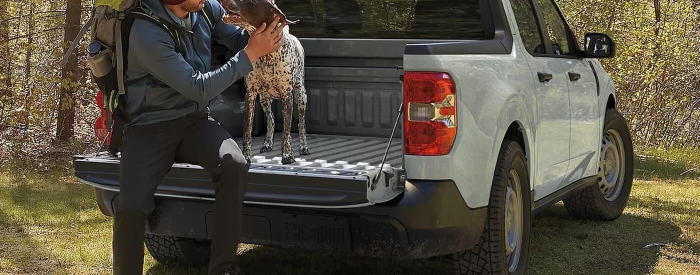 Man and a dog sitting on the bed of a grey 2025 Ford Maverick for sale near Bowling Green.