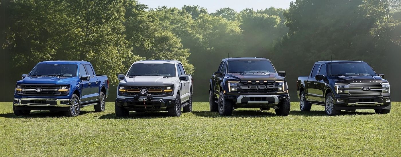 A blue 2024 Ford F-150, a white F-150 Tremor, A black F-150 Raptor, and a black F-150 Platinum are shown parked on grass.