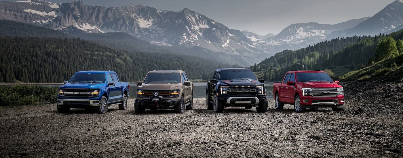 The 2025 Ford F-150 lineup for sale near Forest parked on gravel.