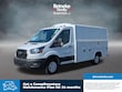 Ford Transit Chassis