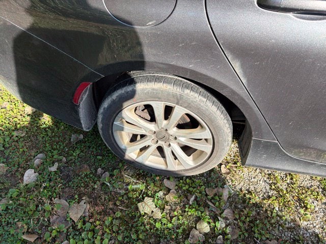 Photo 11