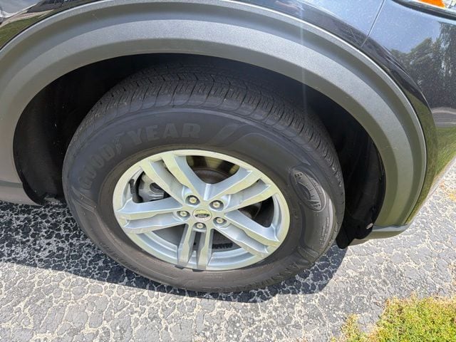 Photo 11
