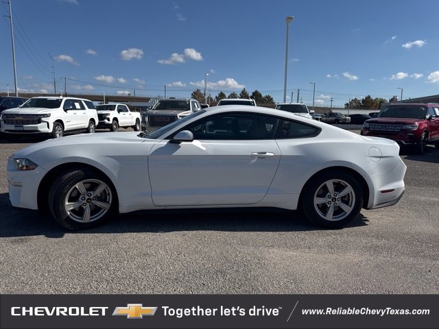 2020 Ford Mustang EcoBoost photo 4