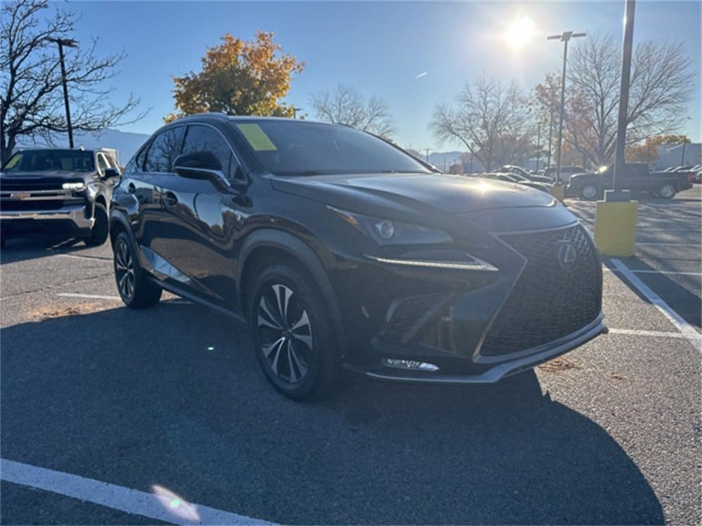 2021 Lexus NX 300 F SPORT