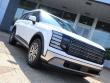 2026 Hyundai Palisade Hybrid Blue SEL Premium 7P SUV