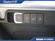 2025 Hyundai Santa Fe Calligraphy SUV