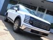 2026 Hyundai Palisade Hybrid Blue SEL Premium 7P SUV