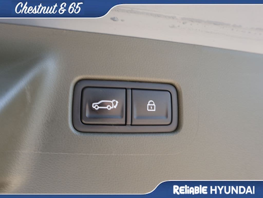 Certified Used 2025 Ecotronic Gray Matte Hyundai Calligraphy image 18
