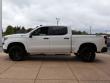 2023 Chevrolet Silverado 1500 Custom Trail Boss Truck Crew Cab
