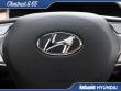 2023 Hyundai Santa Fe Calligraphy SUV