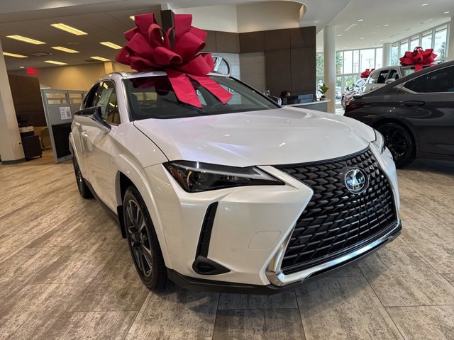 2025 Lexus UX Premium photo 2