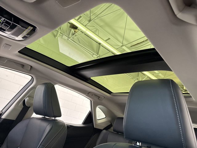 2026 Lexus NX 450h+ Luxury - Photo 17