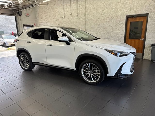 2026 Lexus NX 350h 350h Luxury AWD's photo
