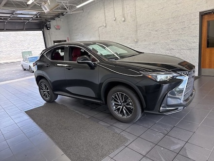 2025 LEXUS NX NX 350 Sport Utility