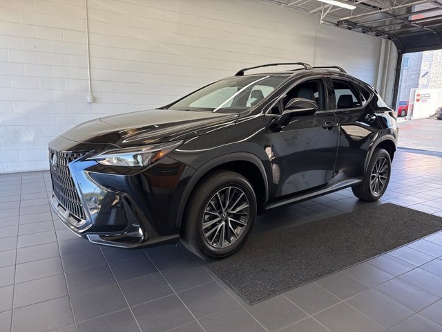 2023 Lexus NX 350h photo 3