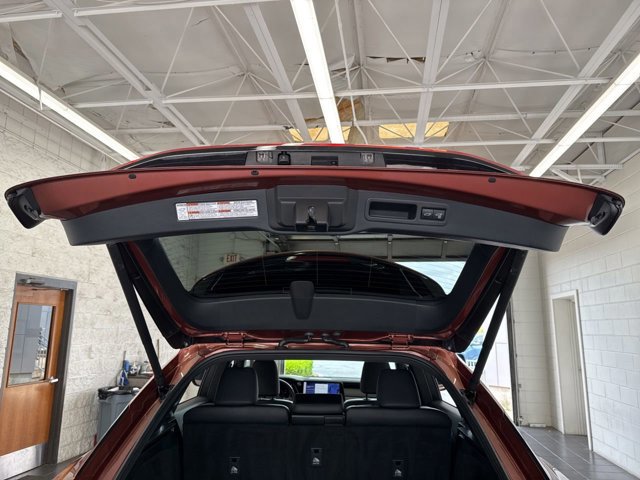 2023 Lexus RX 350 - Photo 10