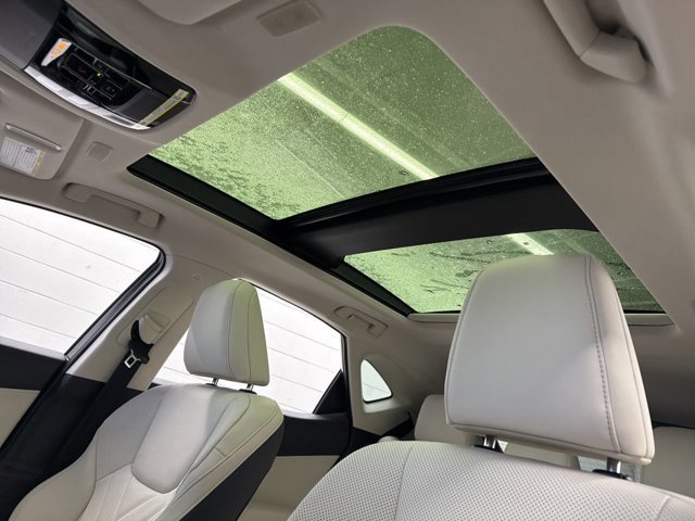 2026 Lexus NX 450h+ Luxury - Photo 17