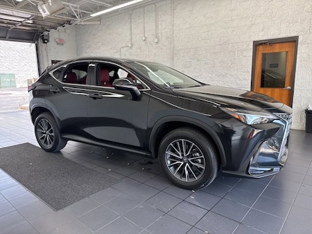 2025 LEXUS NX NX 350 Sport Utility