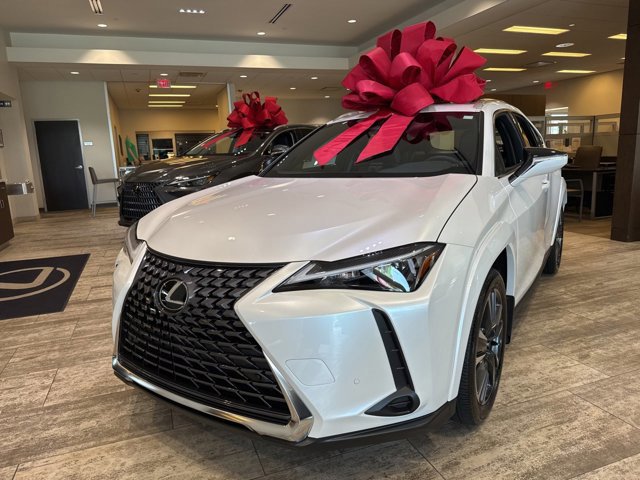 2025 Lexus UX Premium photo 3