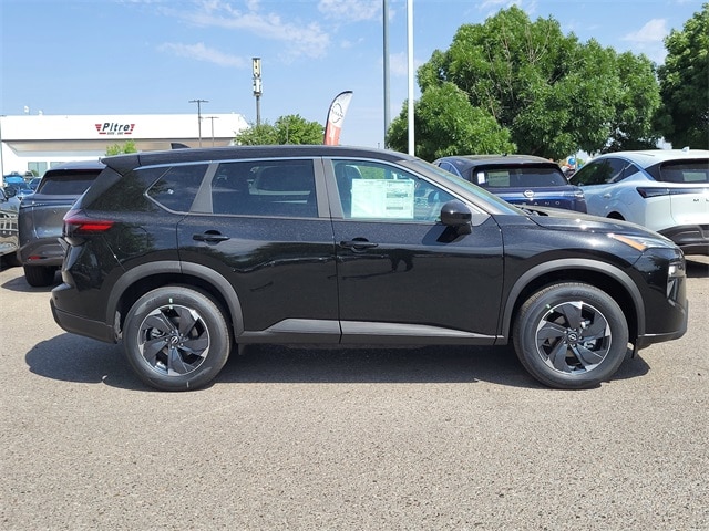 Rogue SV
