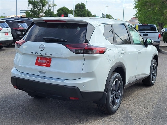 Rogue SV