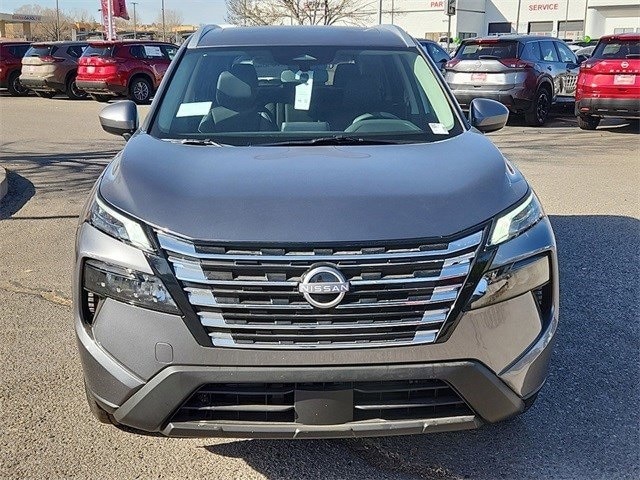 Rogue SV