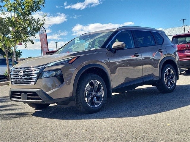 Rogue SV