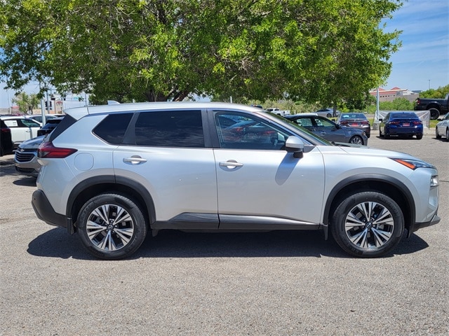 Rogue SV