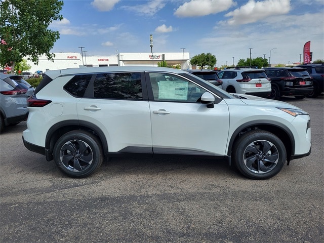 Rogue SV