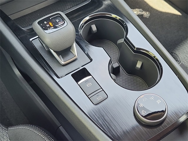 Rogue SV