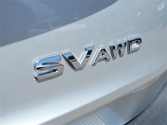Rogue SV