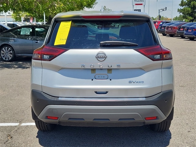 Rogue SV