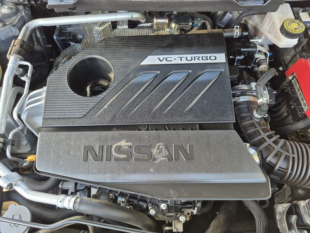 Photo 23