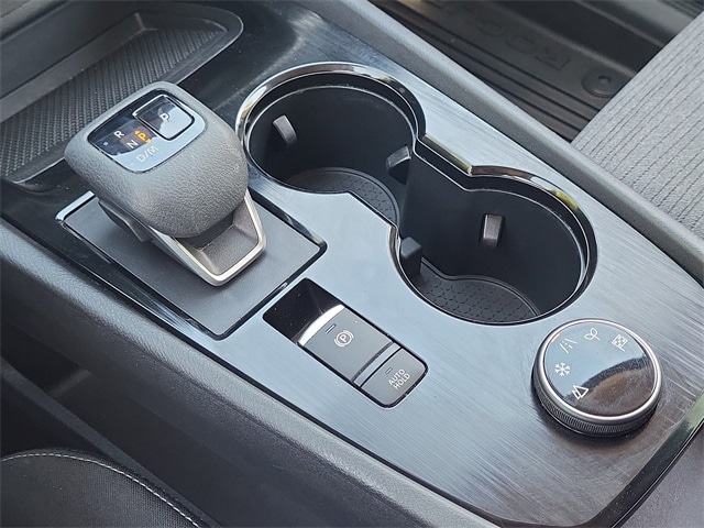 Rogue SV