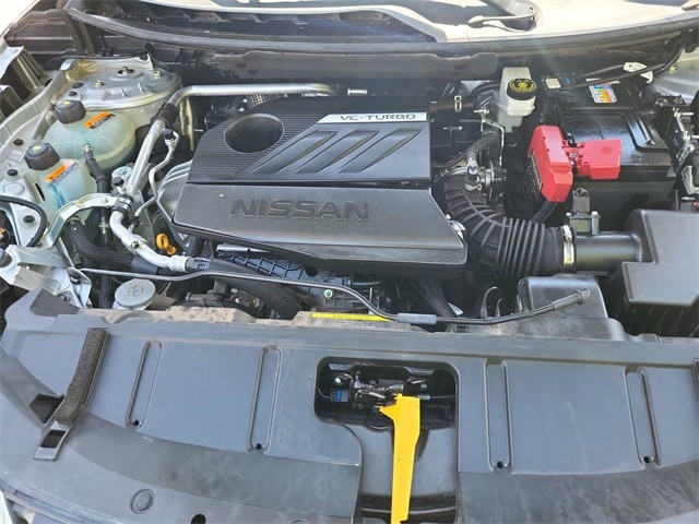 Rogue SV