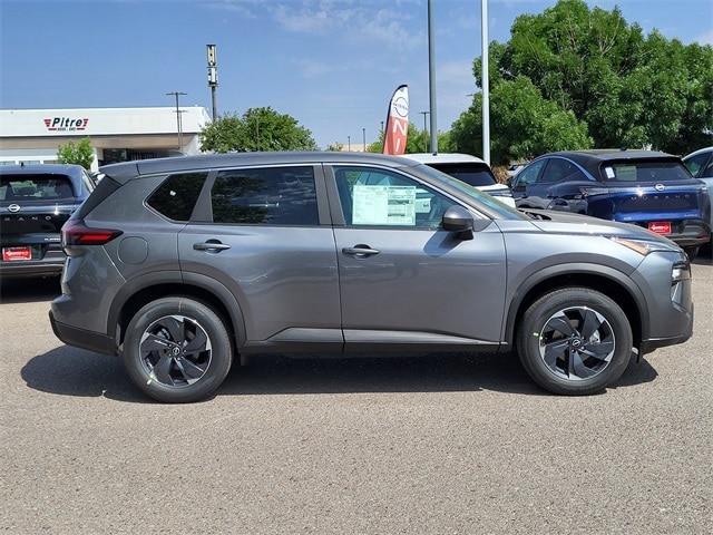 Rogue SV