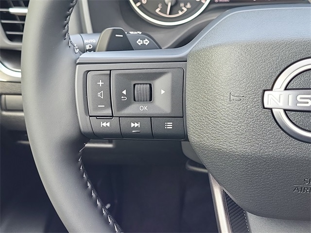 Rogue SV