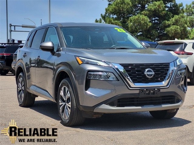 Rogue SV