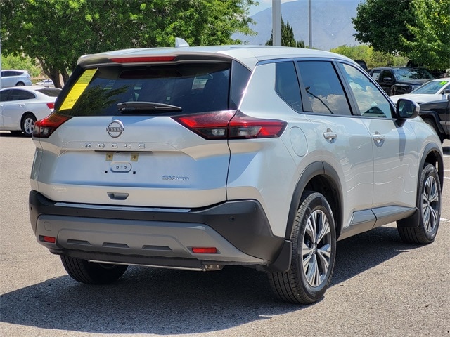 Rogue SV