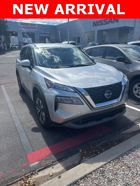 Rogue SV
