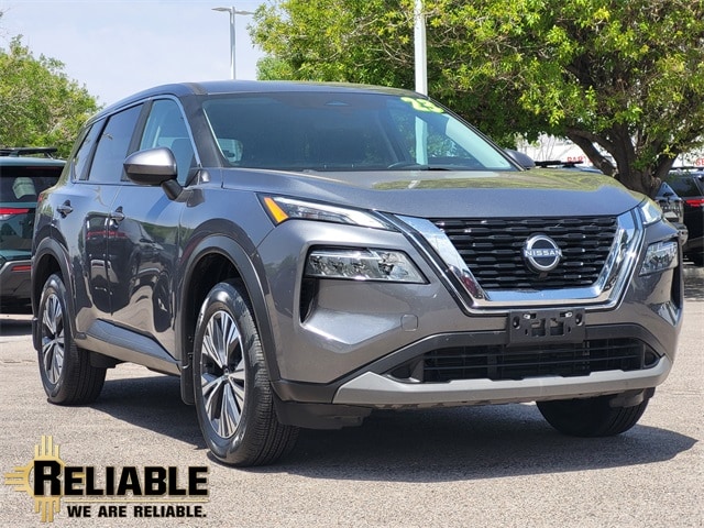 Rogue SV