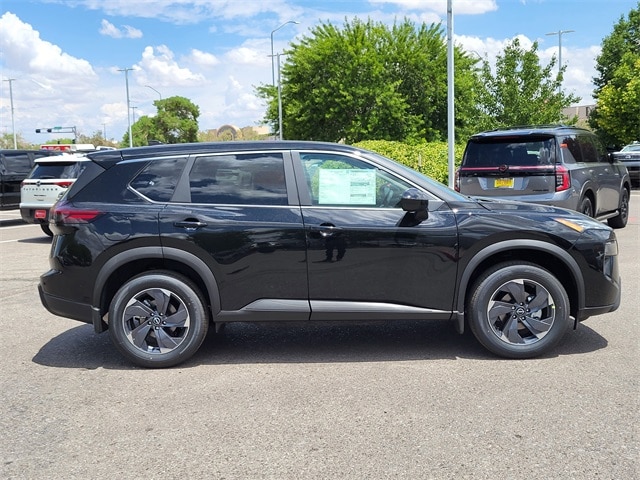 Rogue SV