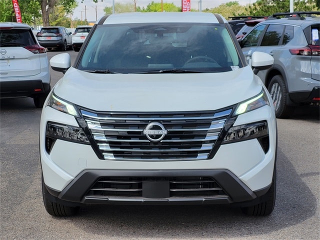 Rogue SV