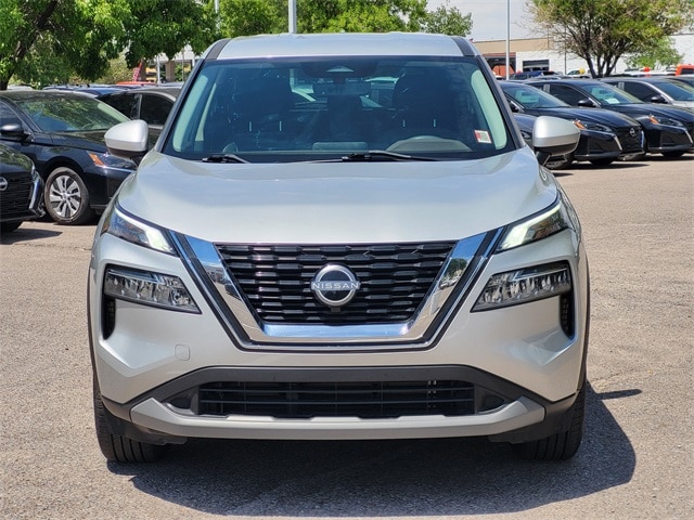 Rogue SV