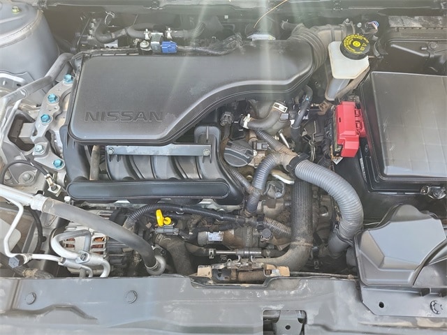 Rogue Sport S