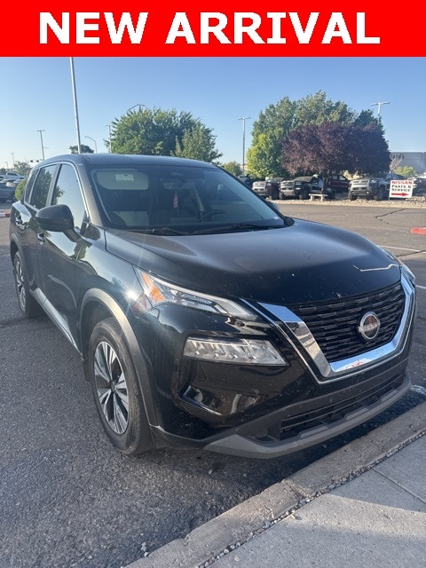 Rogue SV