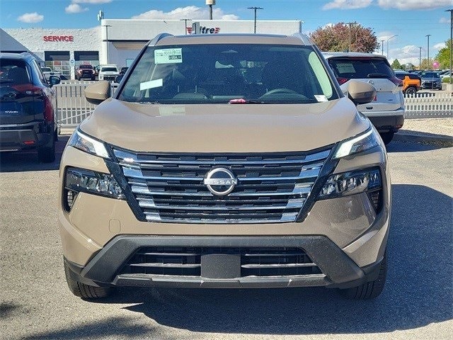 Rogue SV